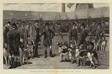 Peterborough Foxhound Show, vor den Richtern